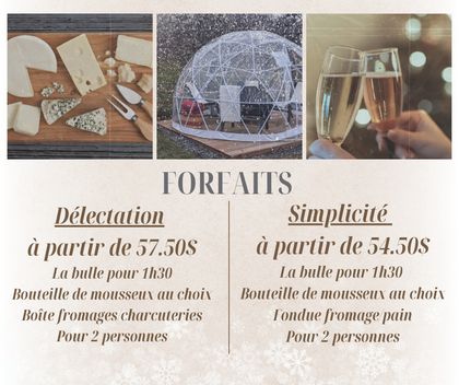 Location Bulles Hivernales